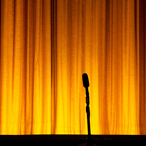 Stage Mic