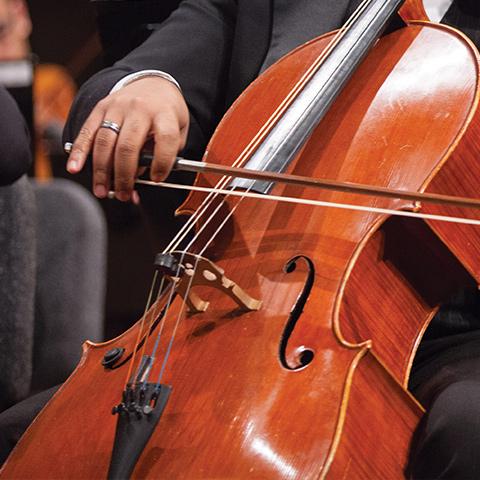 hands playing a string instrument 